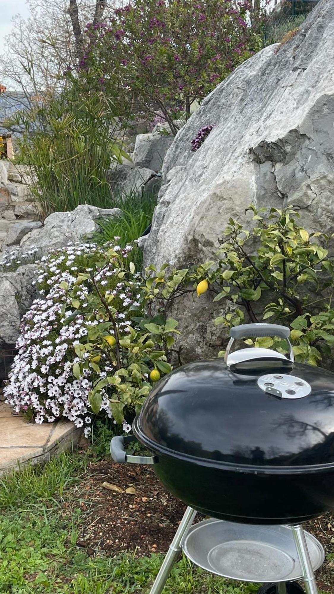 Rez De Jardin, Entre Mer Et Montagne Levens ภายนอก รูปภาพ