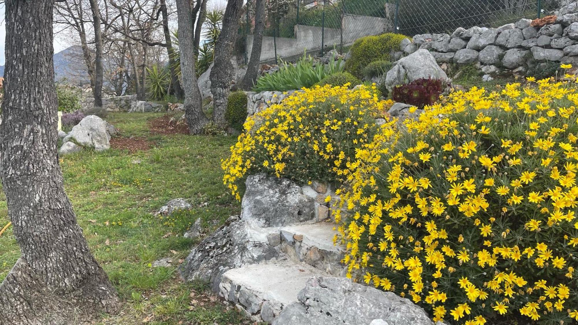 Rez De Jardin, Entre Mer Et Montagne Levens ภายนอก รูปภาพ