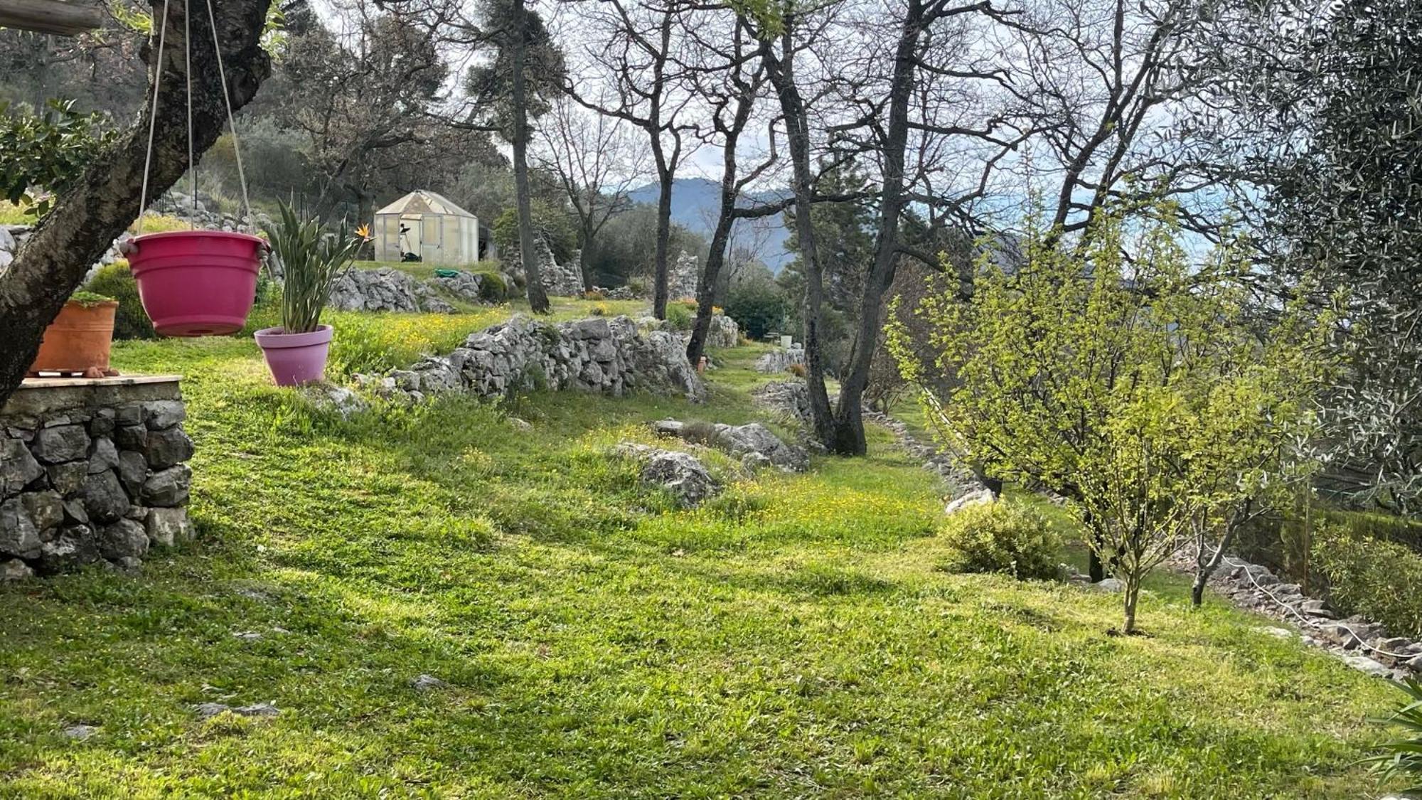 Rez De Jardin, Entre Mer Et Montagne Levens ภายนอก รูปภาพ
