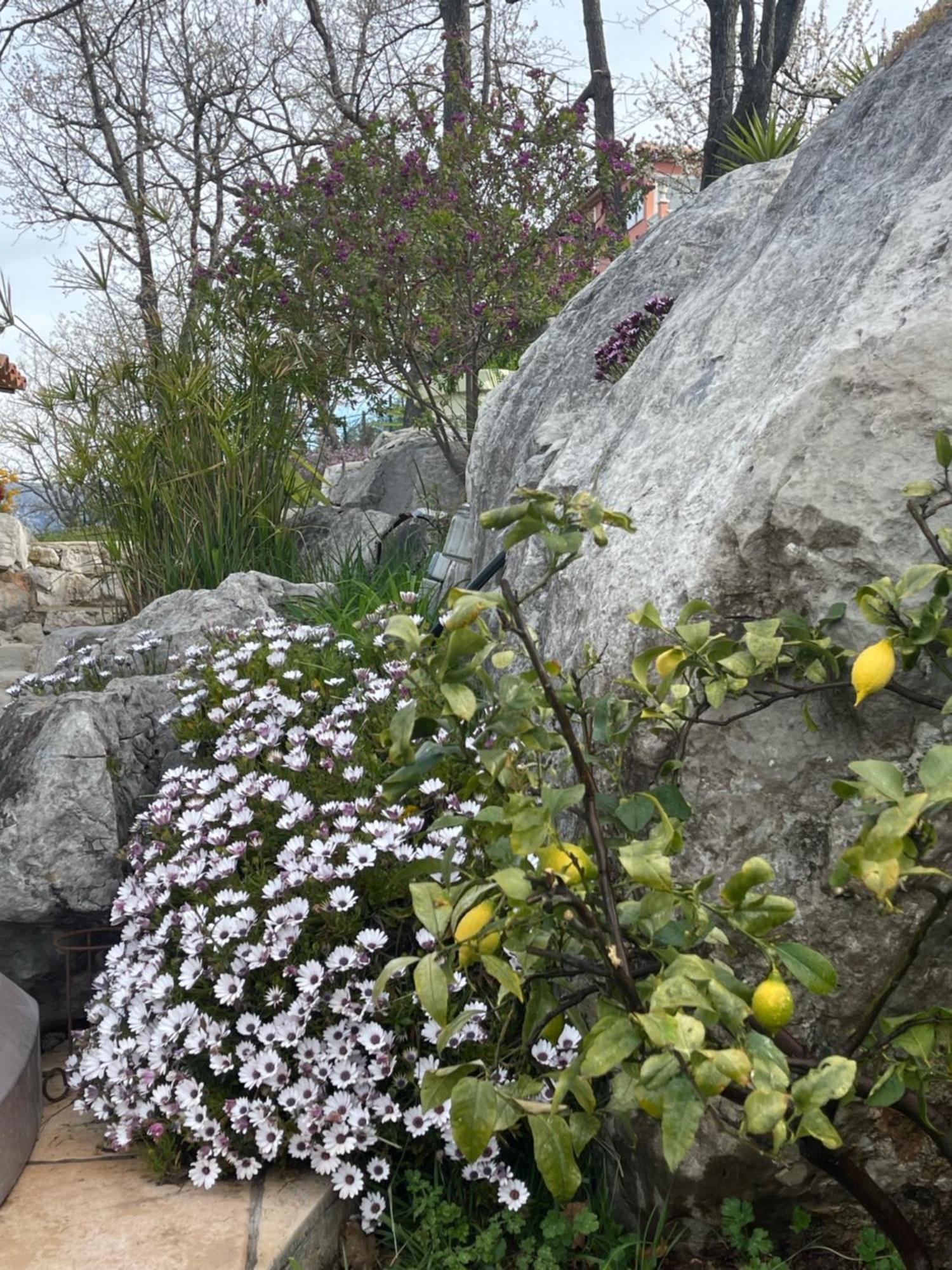 Rez De Jardin, Entre Mer Et Montagne Levens ภายนอก รูปภาพ