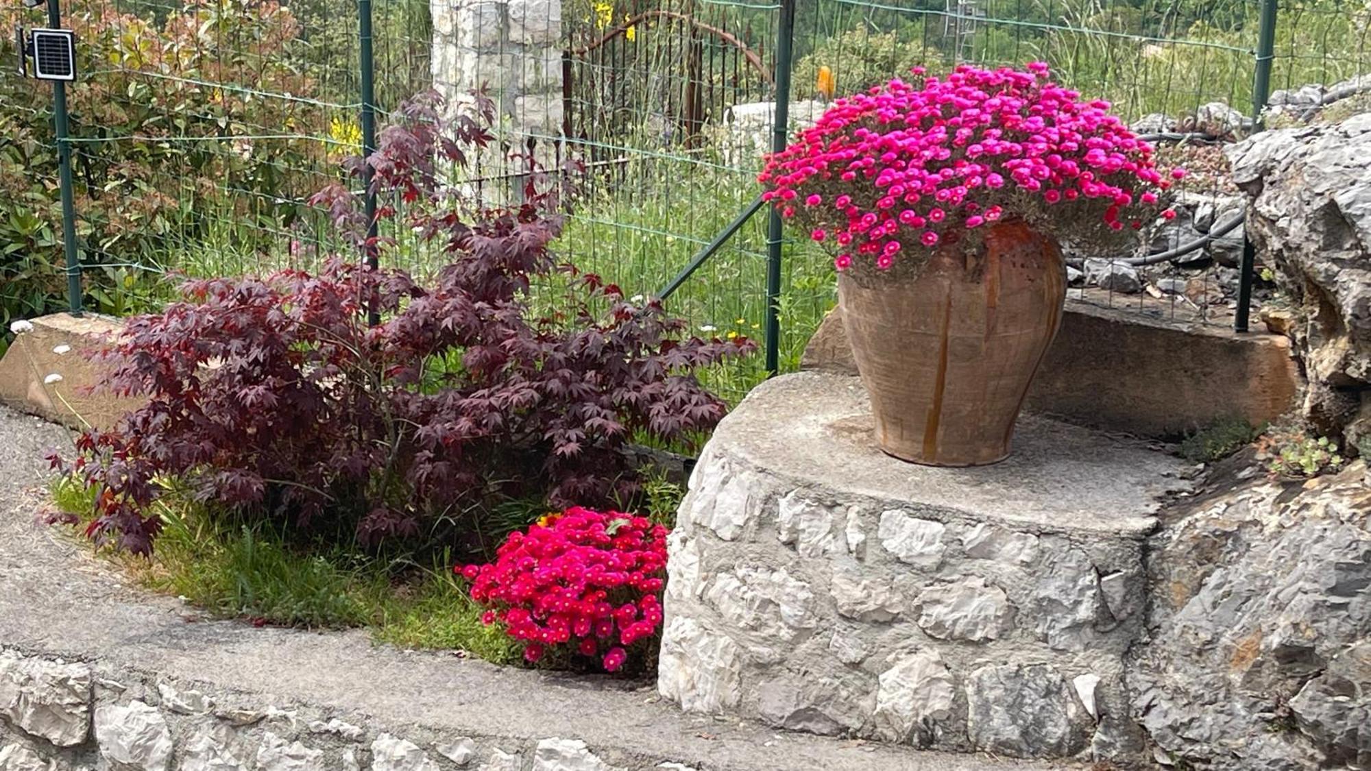 Rez De Jardin, Entre Mer Et Montagne Levens ภายนอก รูปภาพ
